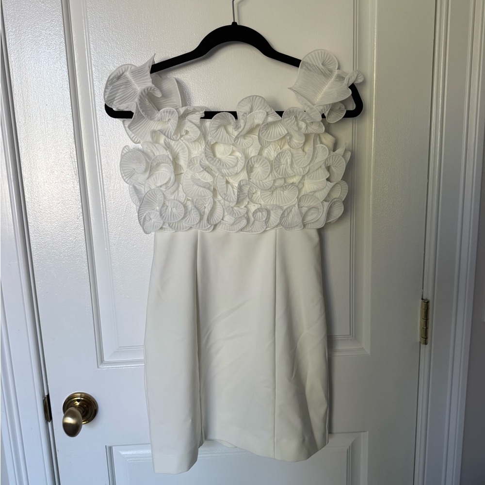 Zara Ruffle Mini Dress